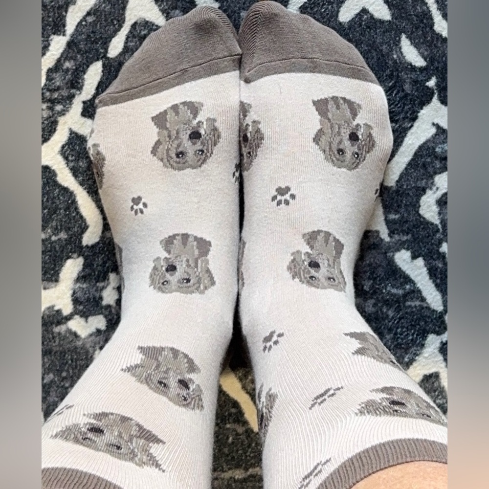 No Brand Men’s Weimaraner Brown and Cream Dress Socks Size 8-12 - Picture 2 of 3